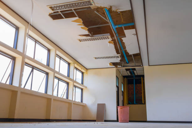 Best Water damage cleanup near me  in Roslyn Estates, NY