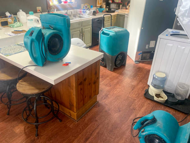 Best Water damage restoration insurance claims  in Roslyn Estates, NY