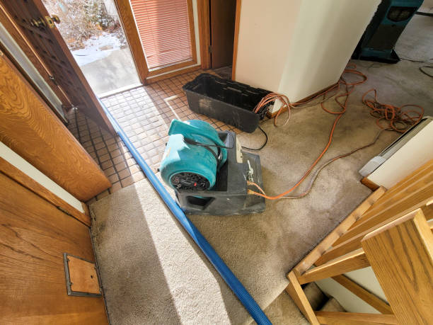 Best Mold removal after water damage  in Roslyn Estates, NY