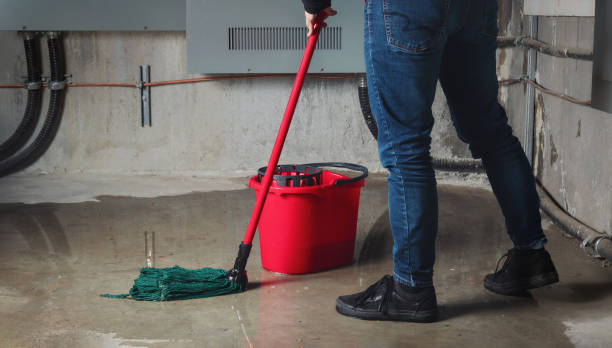  Roslyn Estates, NY Water damage restoration Pros