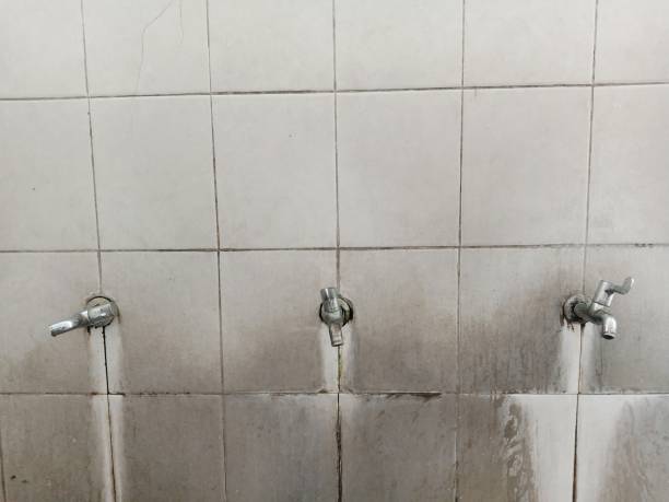 Professional Water damage restoration in Roslyn Estates, NY