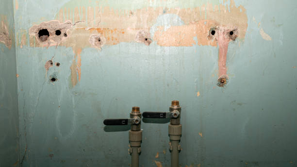 Best Water damage contractors near me  in Roslyn Estates, NY