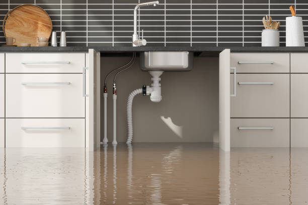 Best Water damage restoration process  in Roslyn Estates, NY
