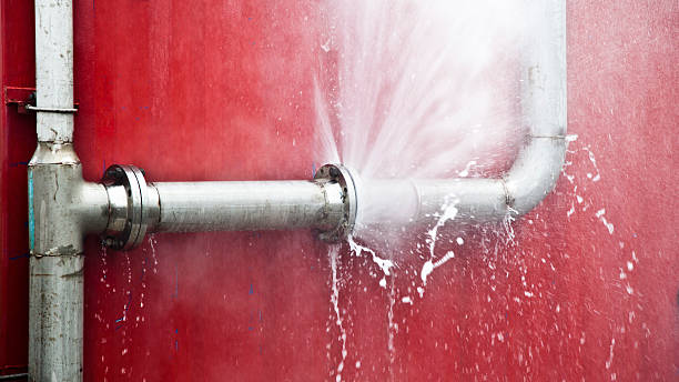 Best Professional water damage repair  in Roslyn Estates, NY